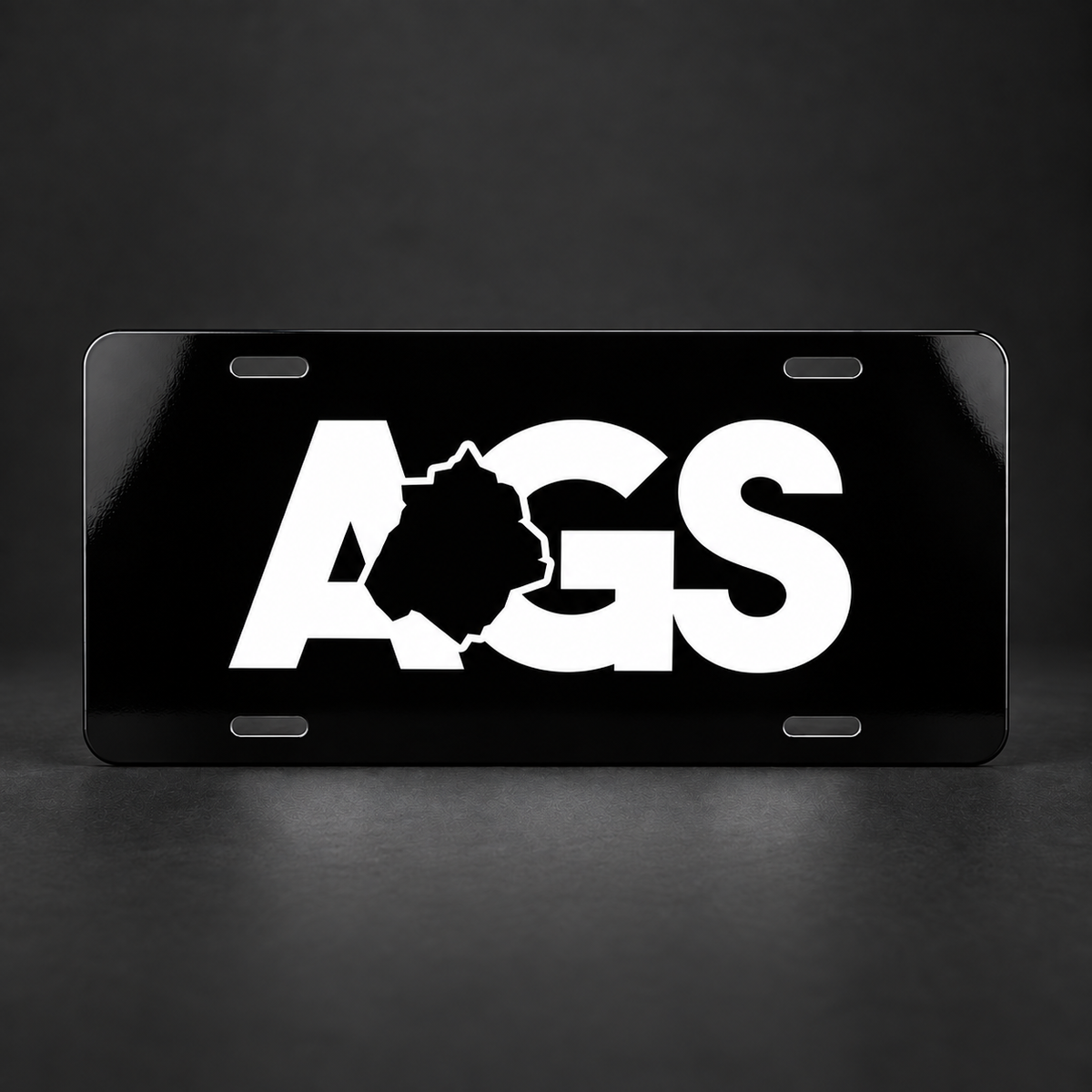 Aguascalientes AGS Black License Plate