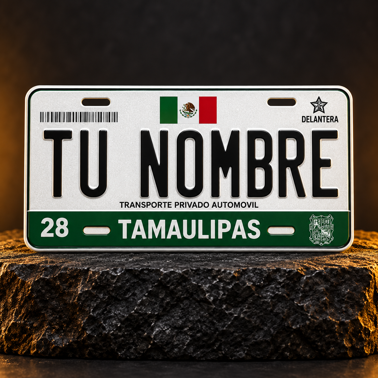 Custom Tamaulipas License Plate – Personalized