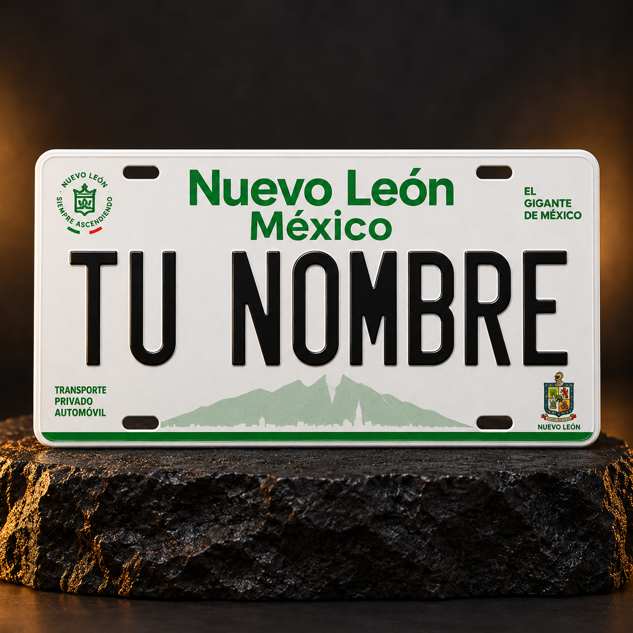 Custom Nuevo León License Plate – Personalized