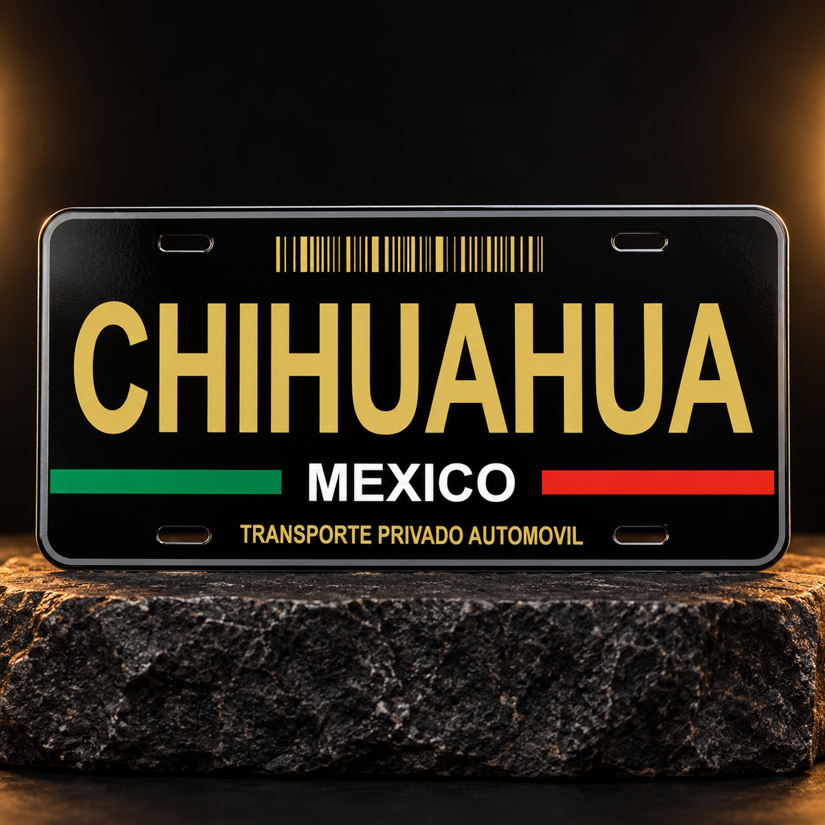 Black Chihuahua Mexico State License Plate