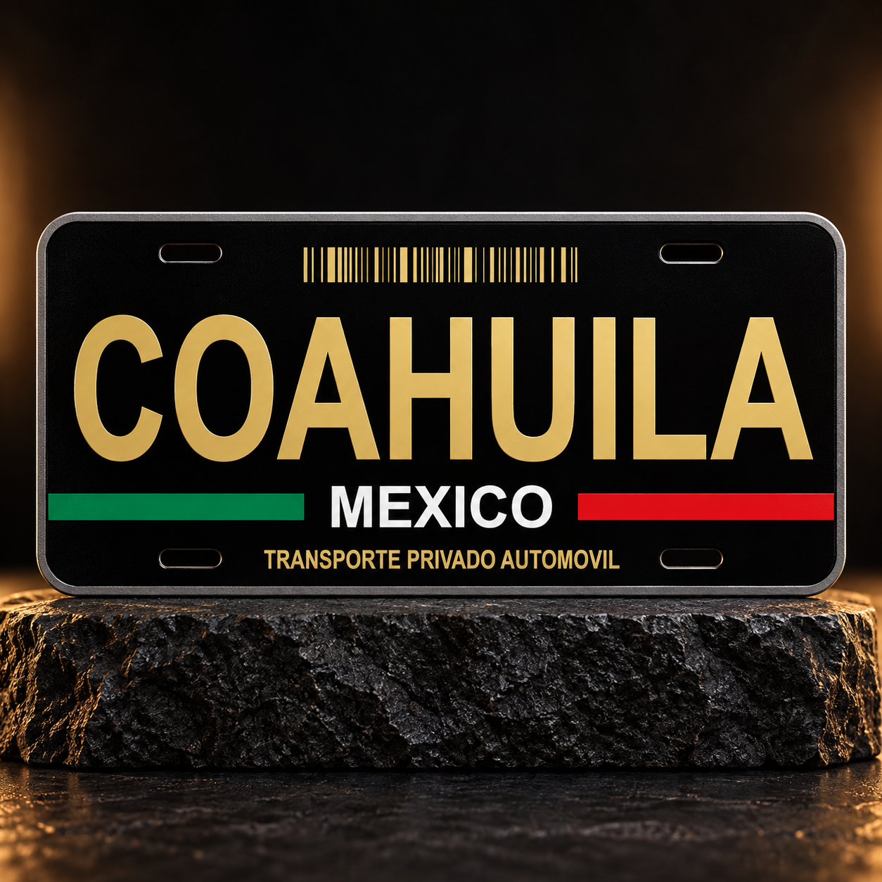 Black Coahuila Mexico State License Plate