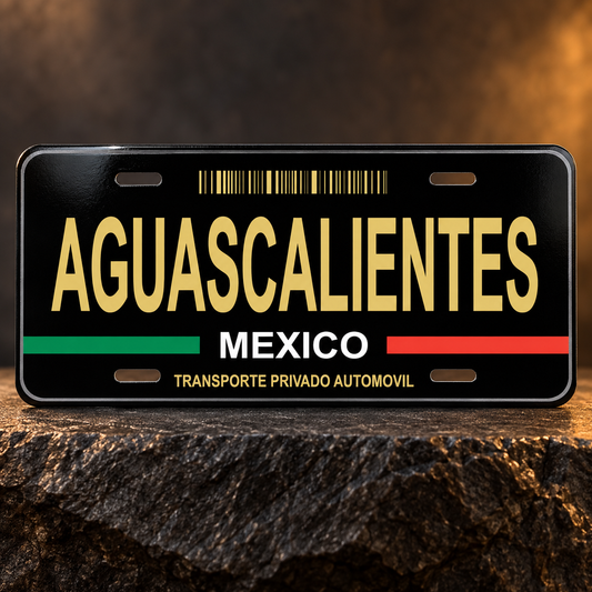 Black Aguascalientes Mexico State License Plate