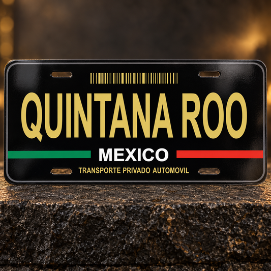Black Quintana Roo Mexico State License Plate