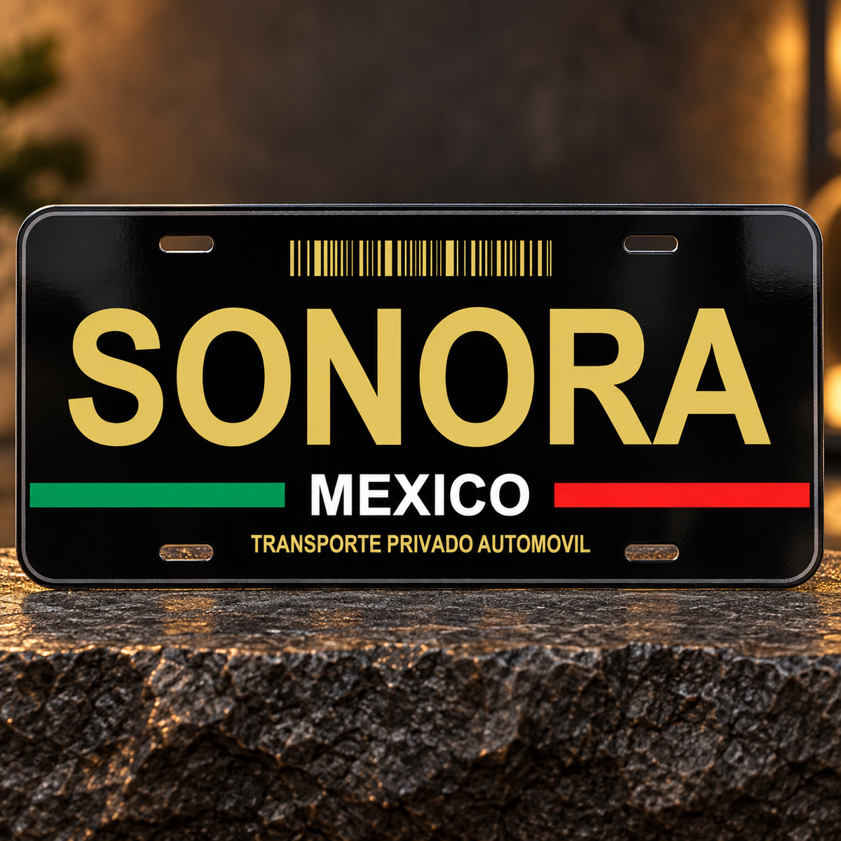 Black Sonora Mexico State License Plate