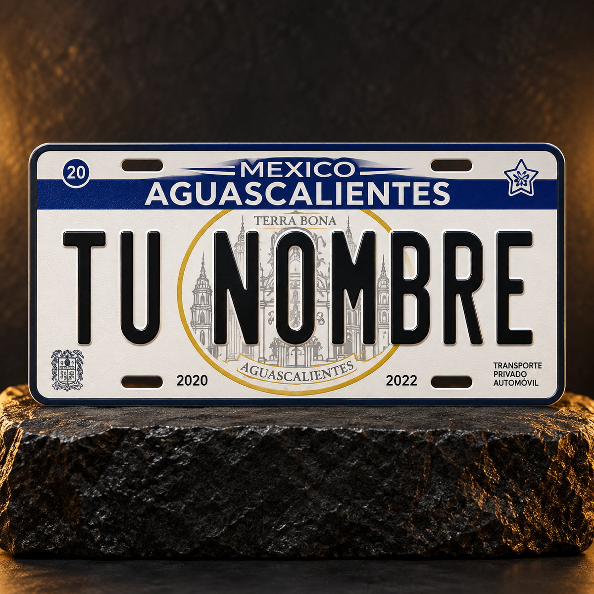 Custom Aguascalientes License Plate – Personalized 12×6