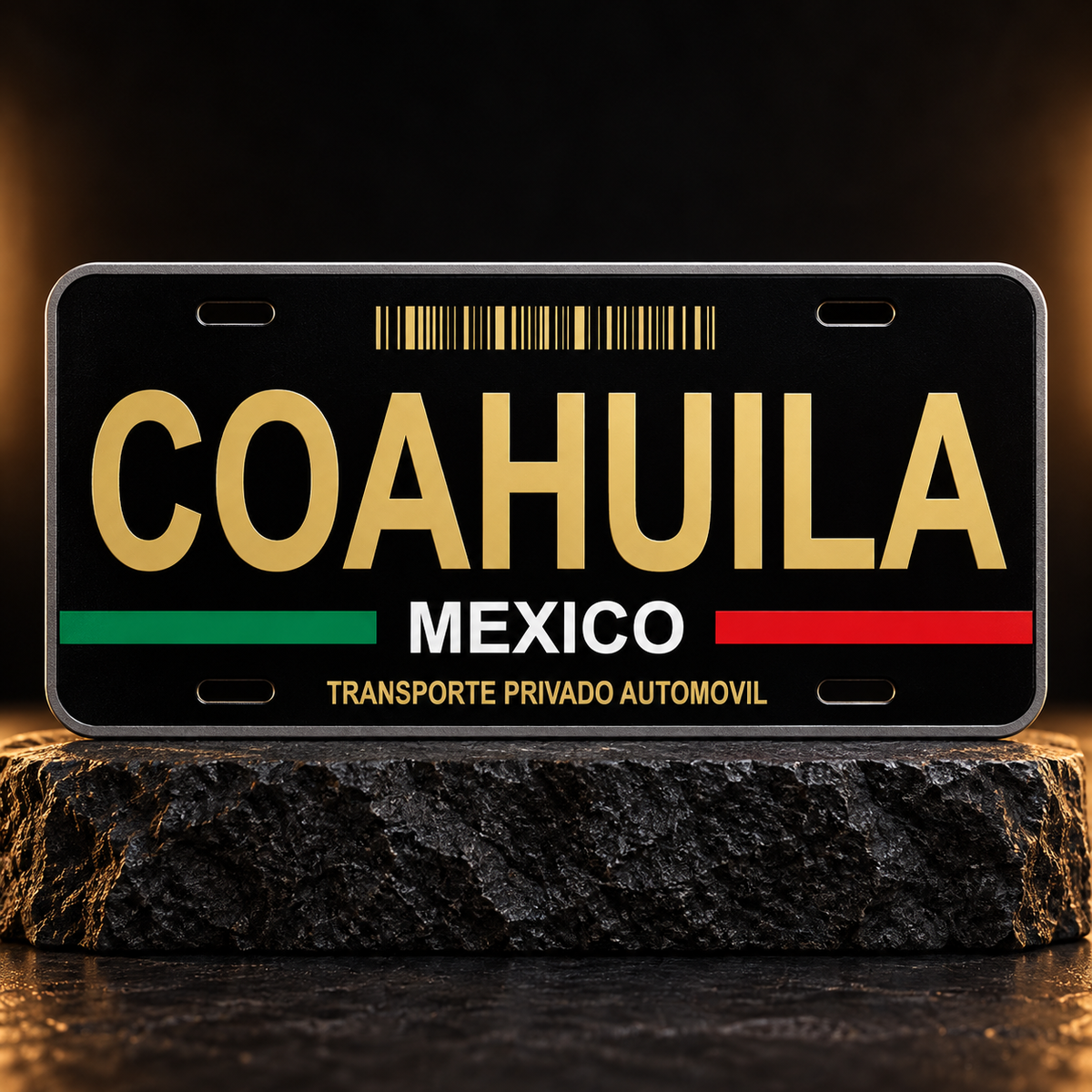 Black Coahuila Mexico State License Plate