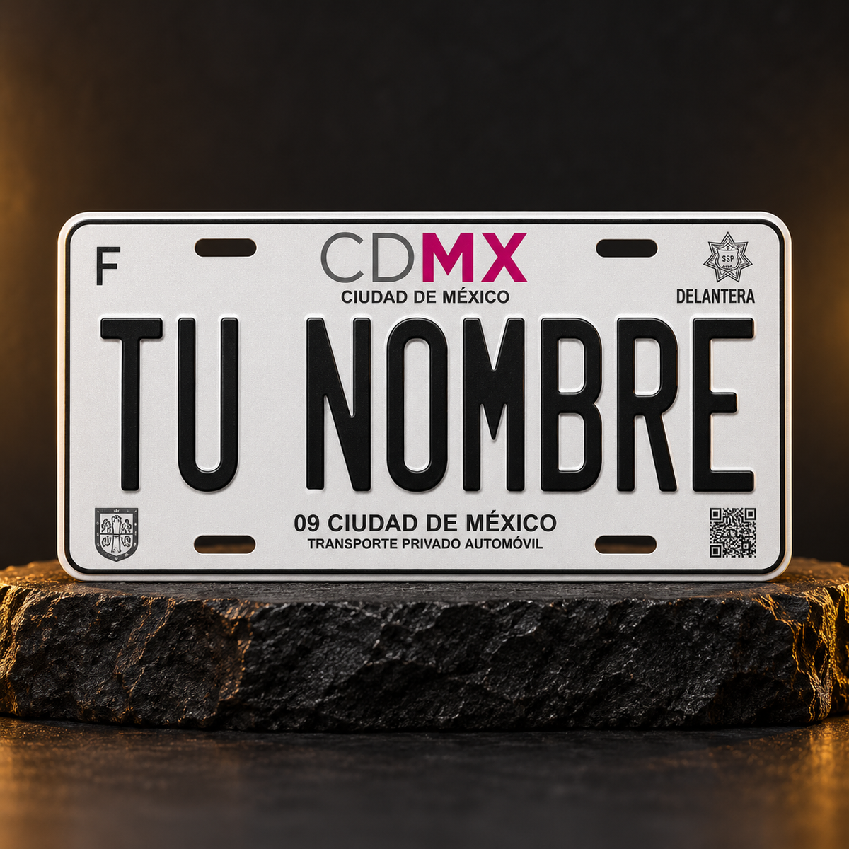 Custom CDMX License Plate – Personalized 12×6