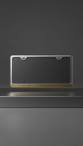 Brushed Steel Edge Carbon Fiber Plate